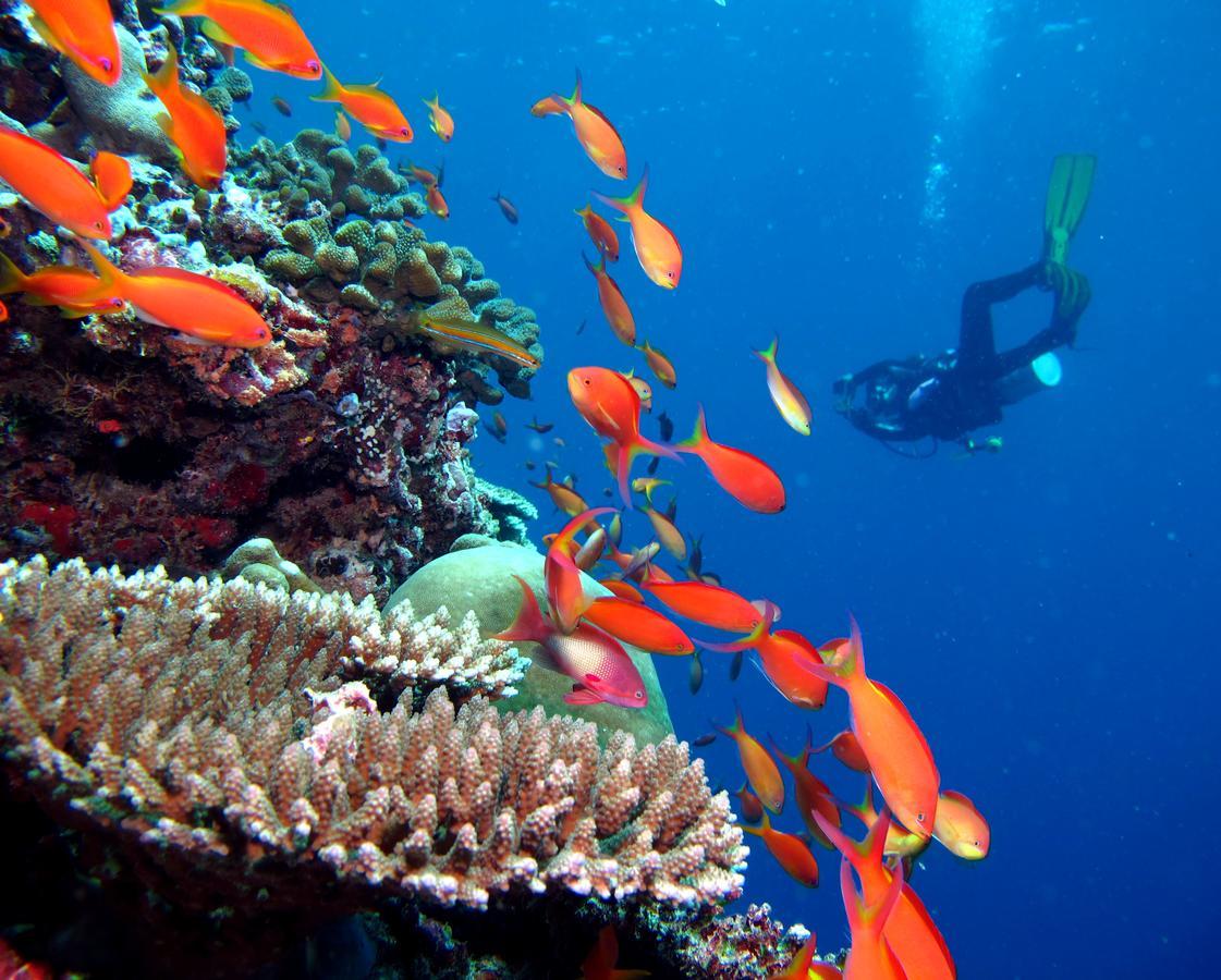 Kandima Maldives Kudahuvadhoo Ngoại thất bức ảnh A diver with a camera